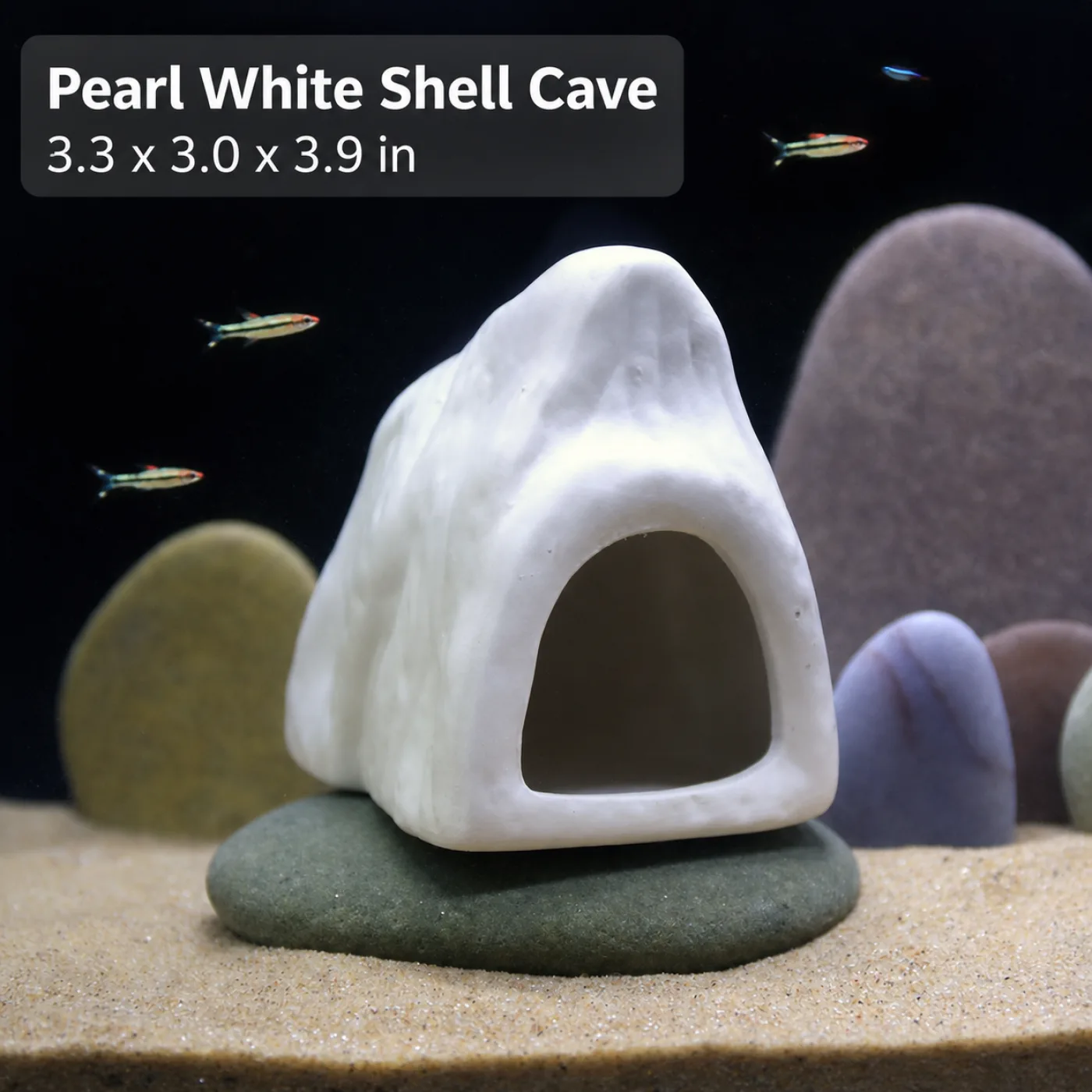 Pearl White Shell Cave - 3.3 x 3.0 x 3.9 in