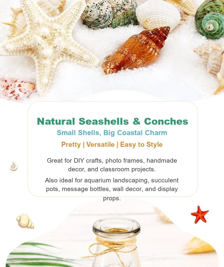 Assorted shell pieces in mixed colors and shapes for aquarium decor and DIY crafts