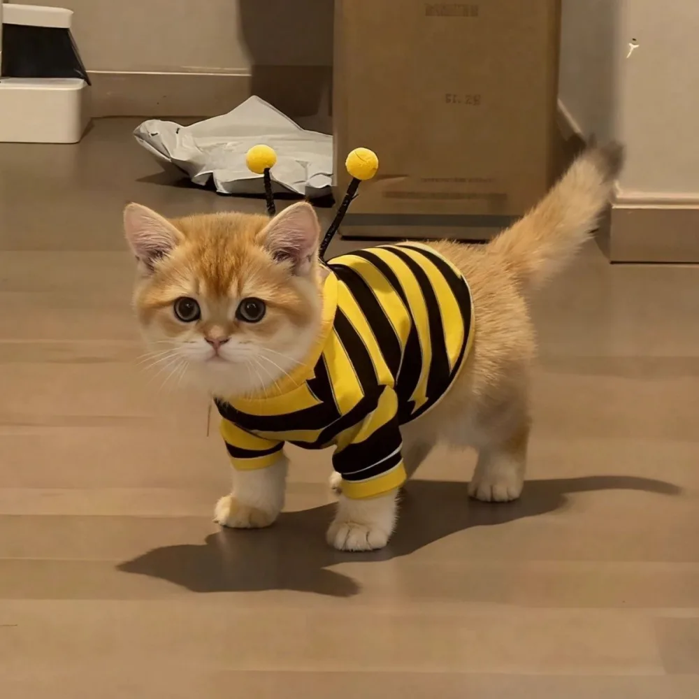 Fleece-lined yellow and black bumblebee pet hoodie in size L for cats and small dogs 3