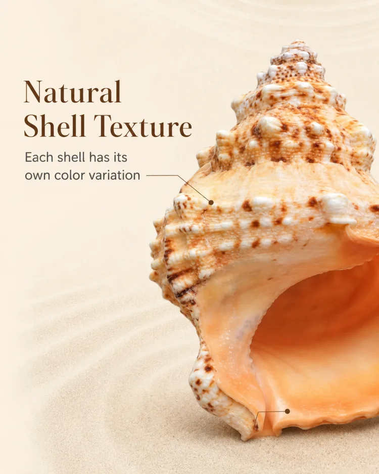 Stone-style spiral shell decor with textured ridges and a warm orange opening