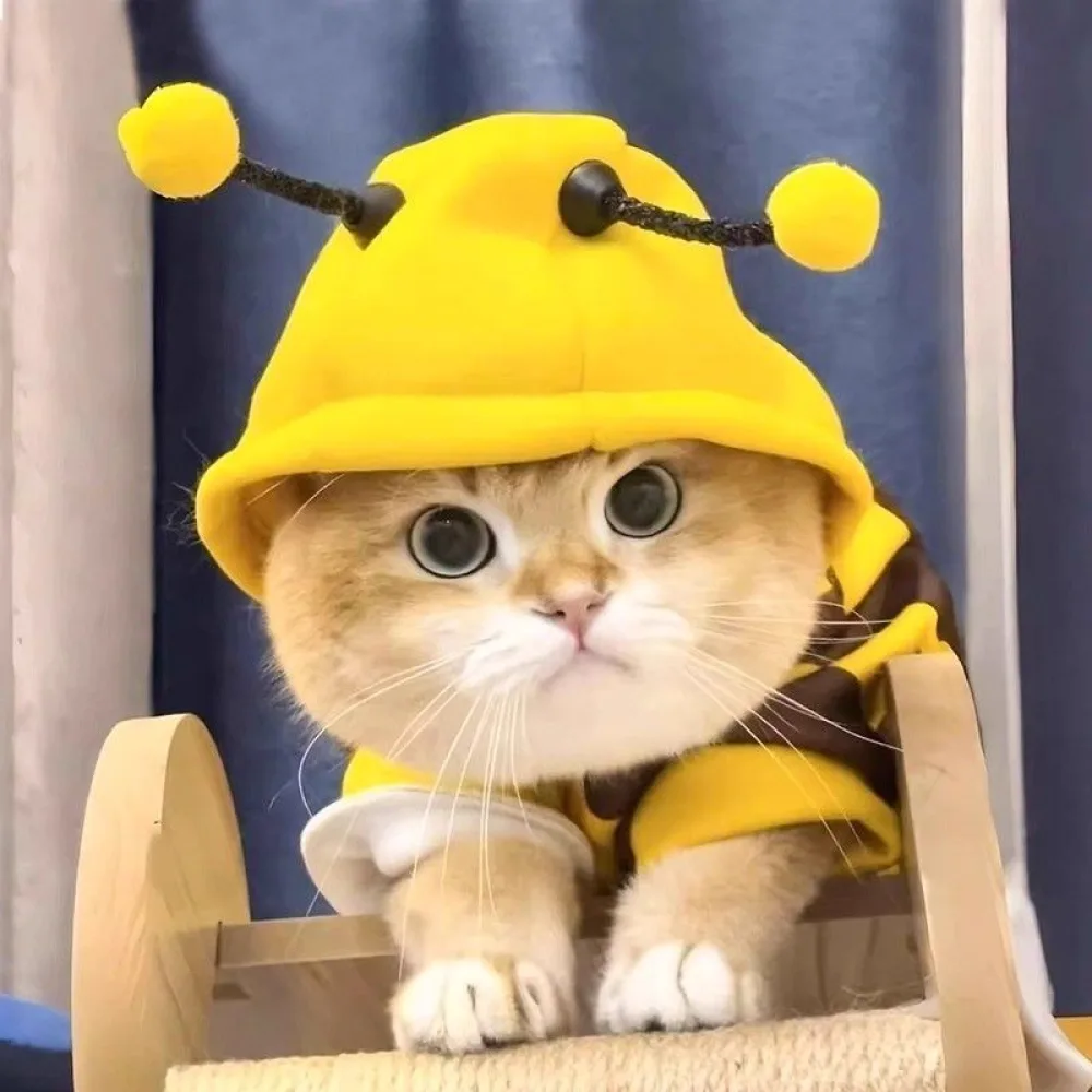 Fleece-lined yellow and black bumblebee pet hoodie in size L for cats and small dogs 4