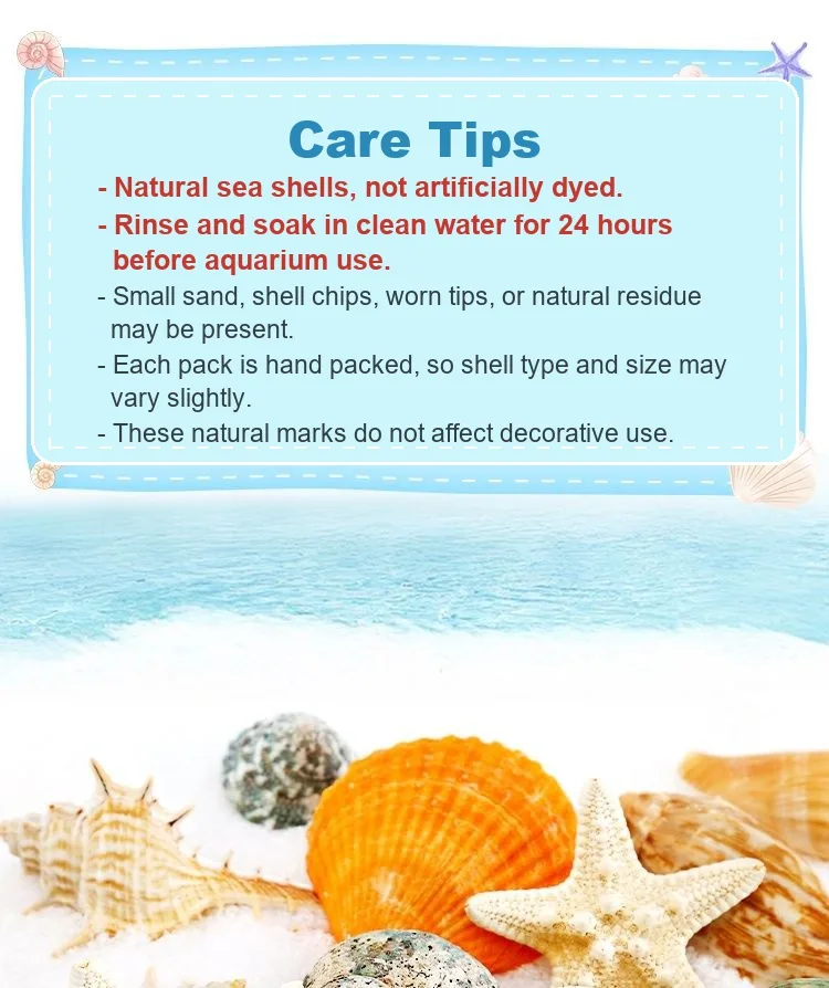 Shell decor preparation guide for aquarium use and coastal-style displays