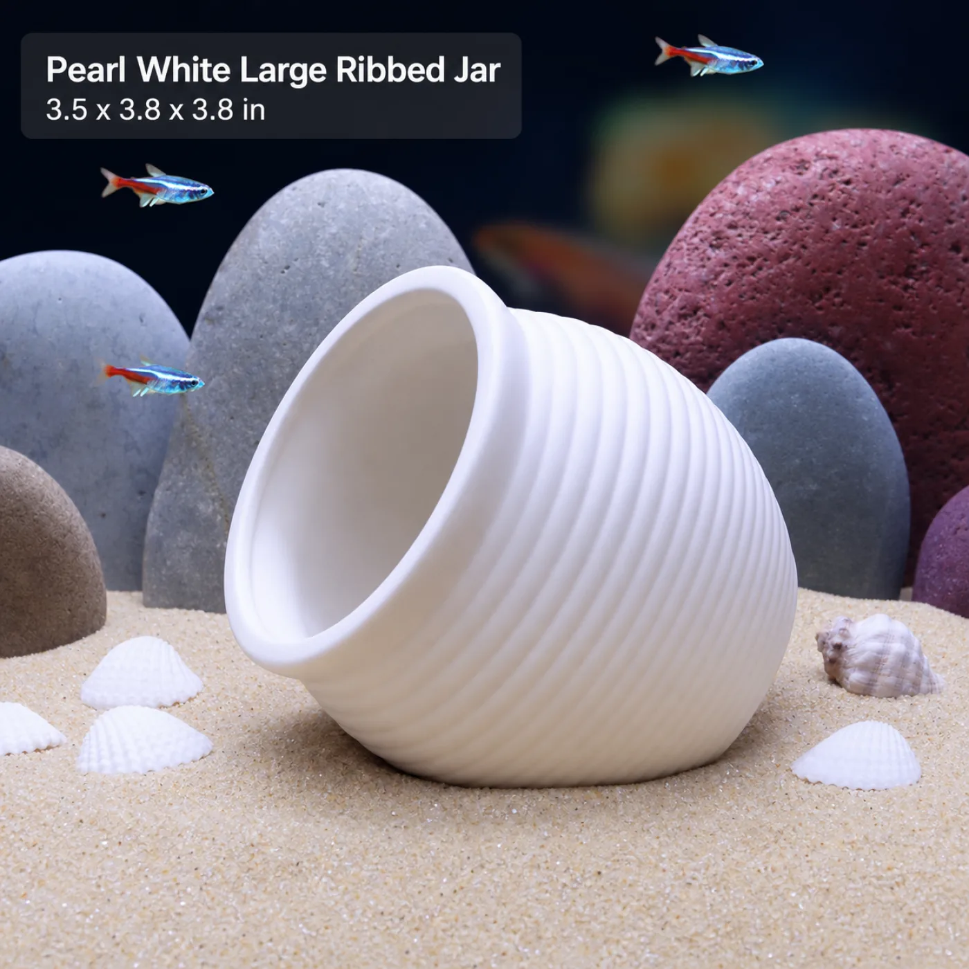 Pearl White Large Ribbed Jar - 3.5 x 3.8 x 3.8 in