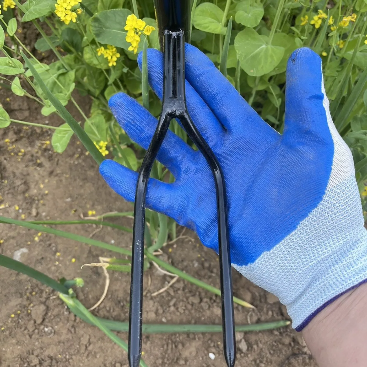 Black double-handle two-tine hand cultivator held in a gloved hand in a garden